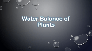 Soil and Water