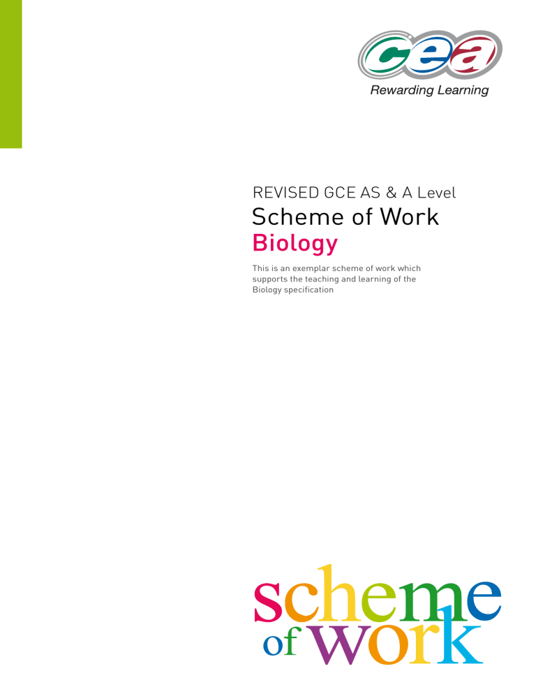 A2as Biol Support 3260 1