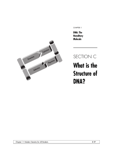 DNA Structure & Replication: High School Genetics