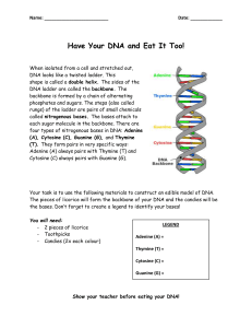 Candy DNA Activity Simplified