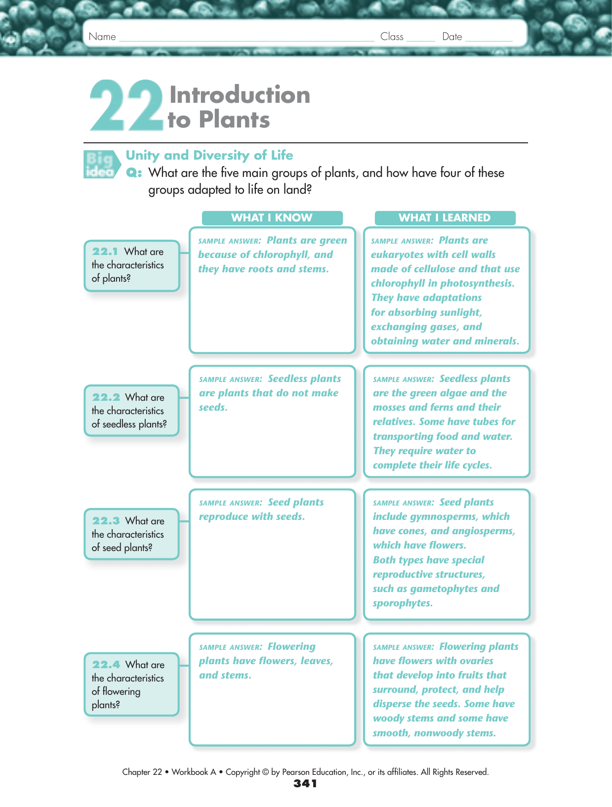 Plants To Keep On Study Table