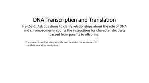 Transcription -Translation
