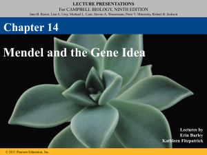 Chapter 12 and 13 Lecture Presentation
