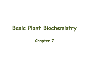 talk 5 basic plant biochemistry