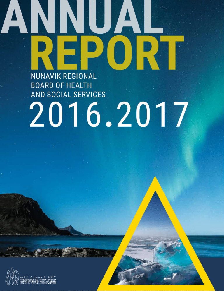 annual report 2016 2017 en v2