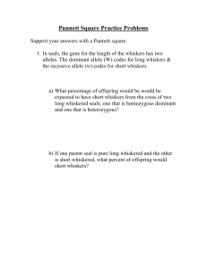 Punnett Square Practice Problems #1