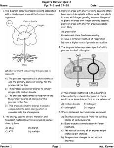Cell Energy and Enzymes Quiz SC Ver1
