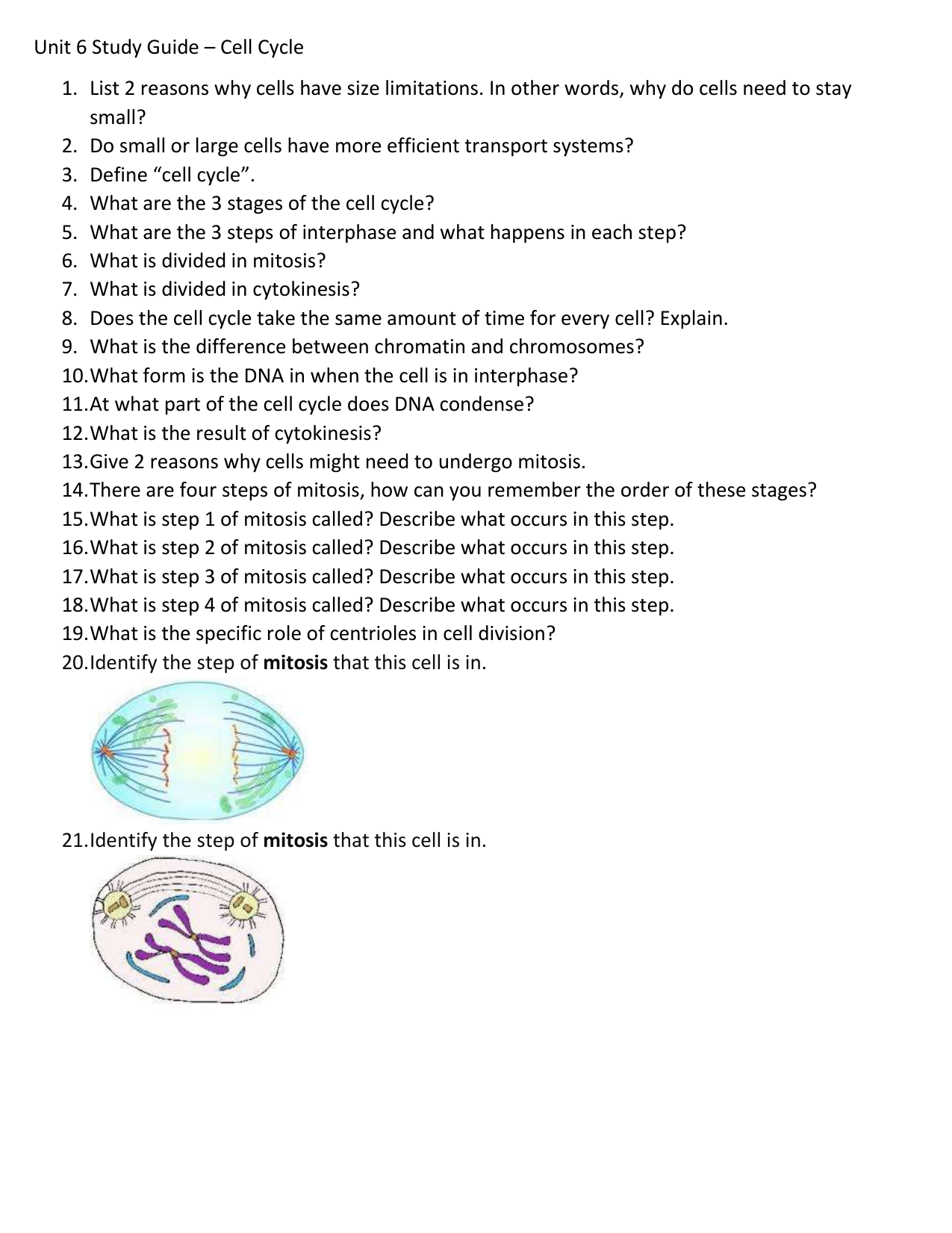 Study Guide - Cell Cycle