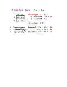 Punnet-Square-Ratios-MCAT-Genetics-Cheat-Sheet-Study-Guide