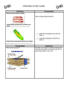 Lipids Chemistry Worksheet: Phospholipids & Diet