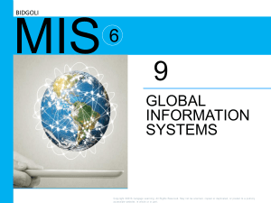 Globalization Information Systems 