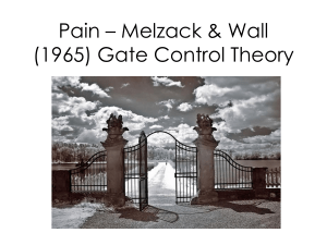 Gate Control Theory of Pain