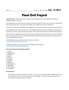 Plant Cell Project