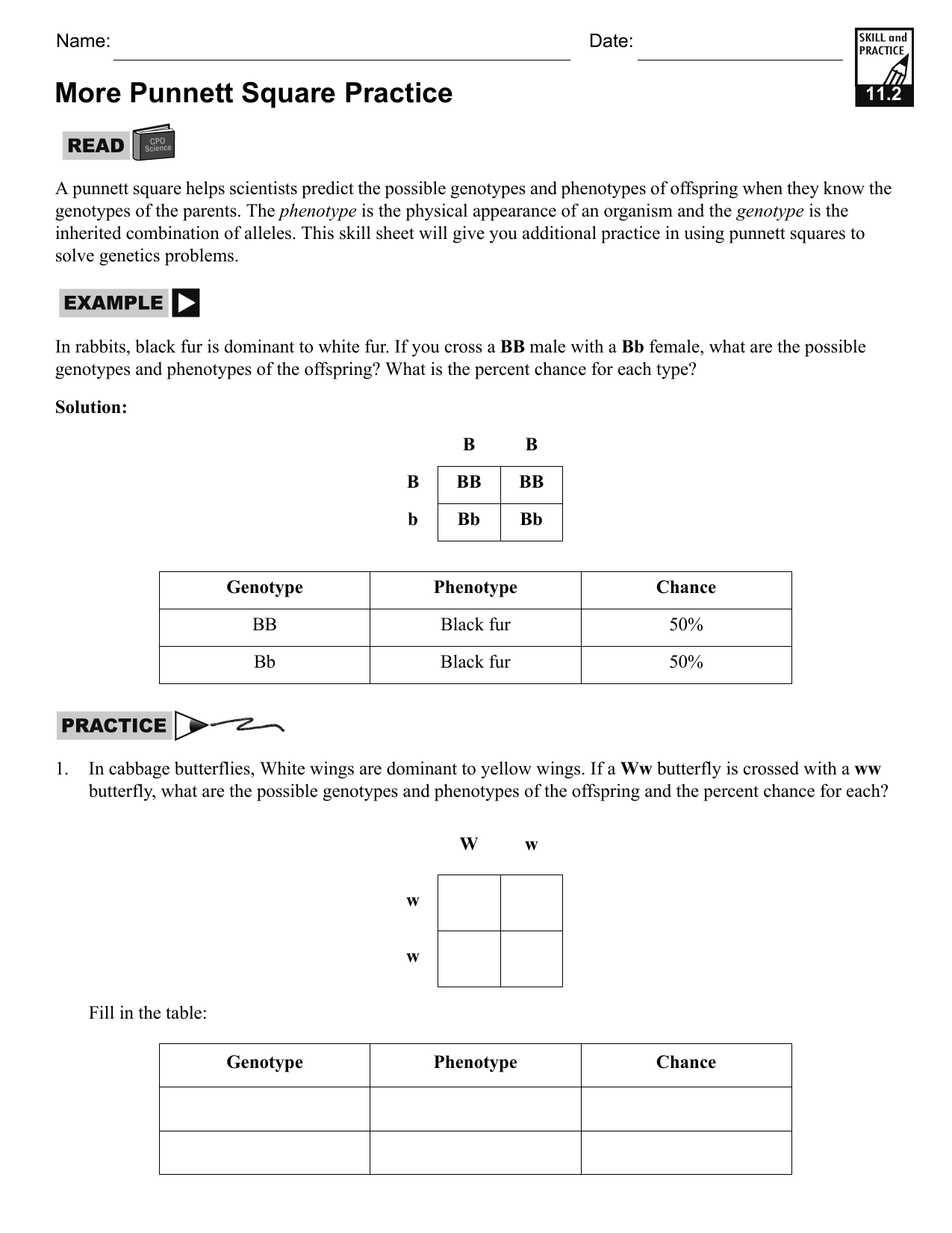 Punnet Square Practice With Punnett Square Practice Worksheet