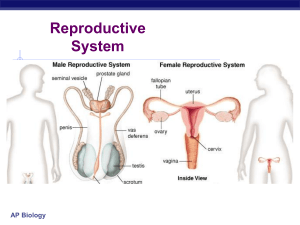 15 reproduction presentation revised