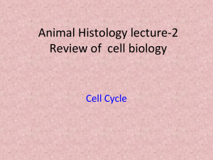 American Histology Lecture 2