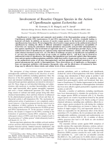 Involvement of Reactive Oxygen Species in the Action of Ciprofloxacin against Escherichia coli