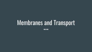 Membranes and transport