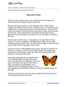 3rd-grade-3-reading-life-cycle