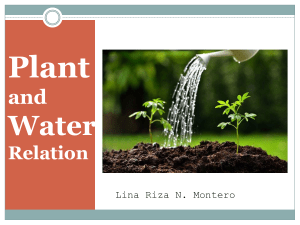 Plant   and Water Relation