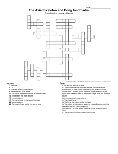Axial Skeleton & Bony Landmarks Crossword Puzzle
