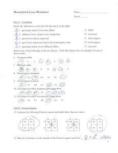 Monohybrid Cross Worksheet: Genetics Practice