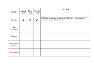 Organelles table