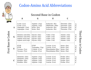 Chart-of-Amino-Acids-Names-and-Abbreviations-and-Codons