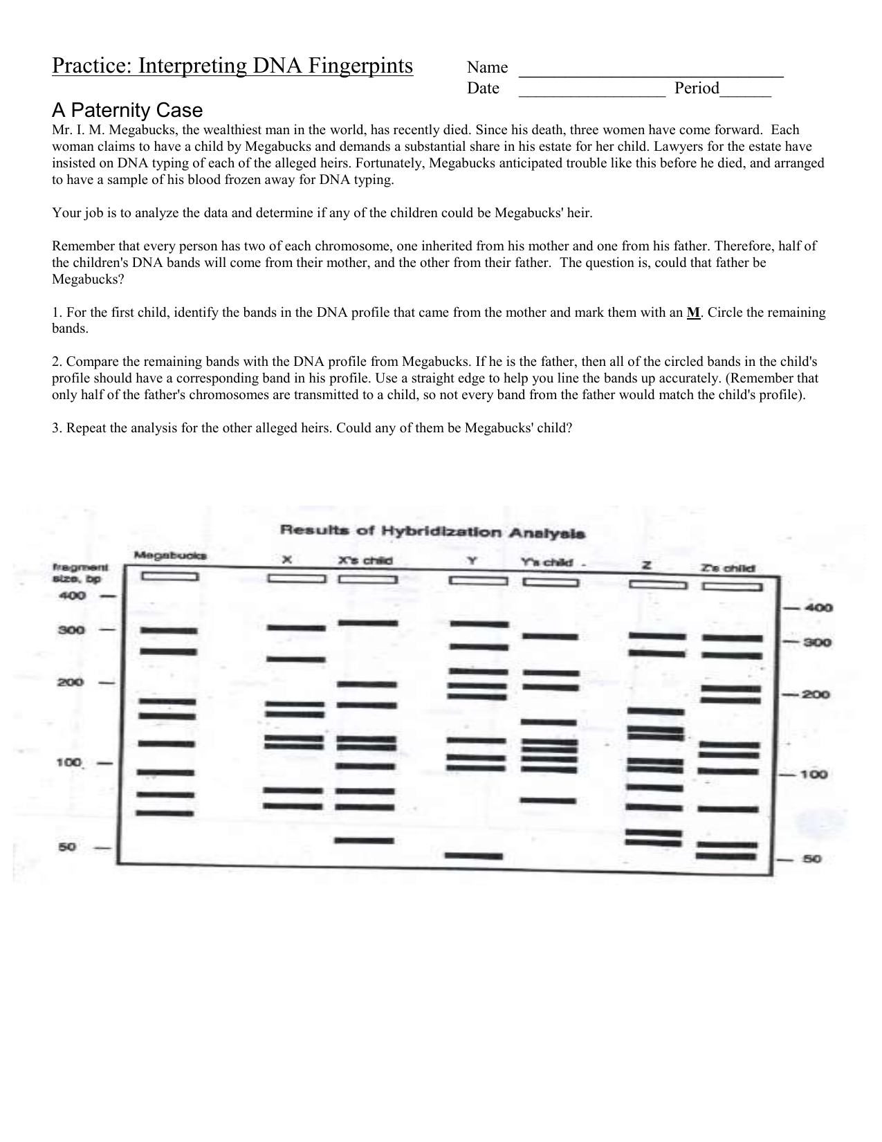 Dna Fingerprinting Worksheet Answers E Street Light