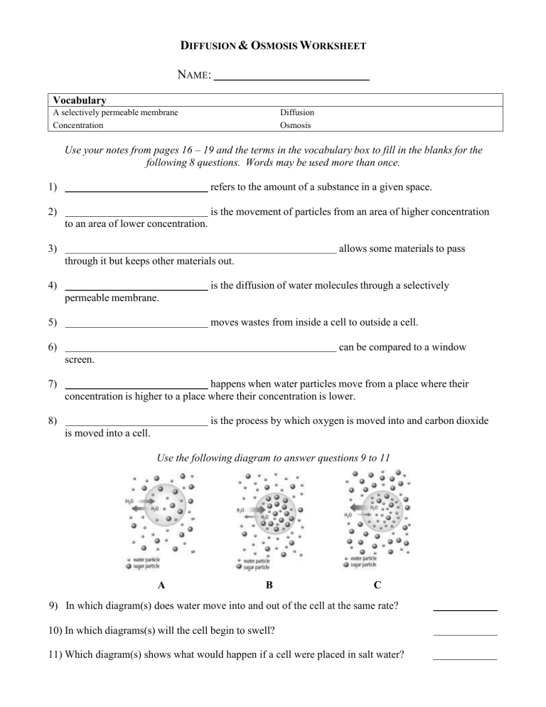 lab assignment 4 diffusion and osmosis