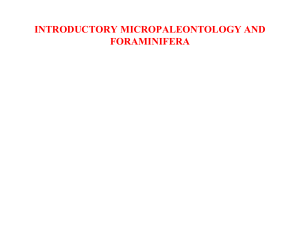 1Introductory Micropaleontology & Foraminifera