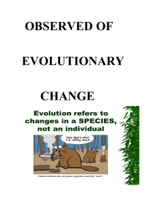 OBSERVED OF EVOLUTIONARY OF EVIDENCE
