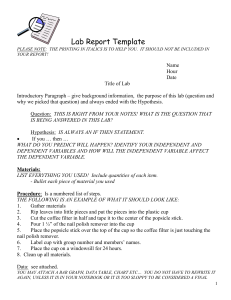 TEMPLATE FOR LAB REPORTS 