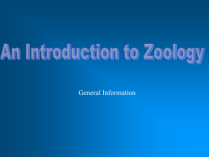 Zoology Introductionx1