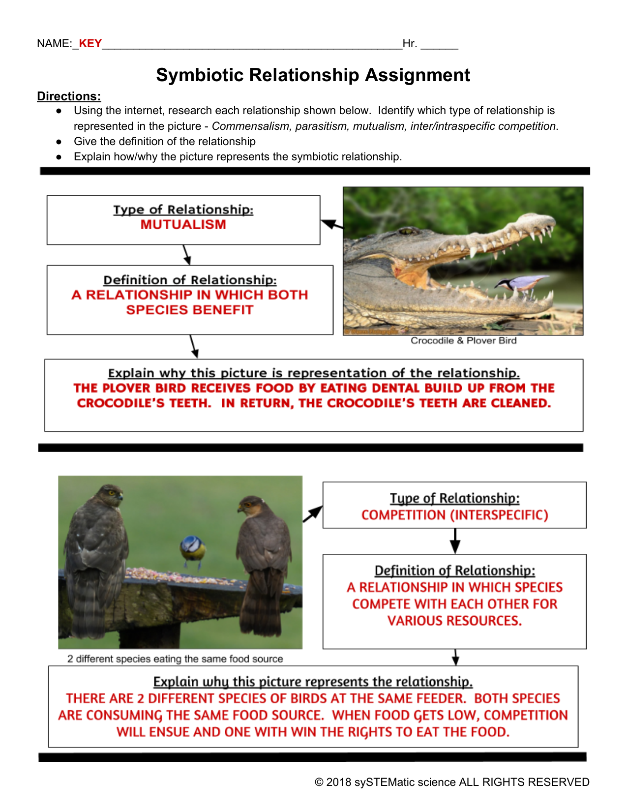 Key-Symbiotic Relationship Worksheet Within Symbiotic Relationships Worksheet Answers