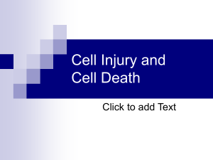 Cell- injury-and-Cell-Death-1