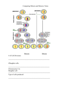 Comparing Mitosis and Meiosis Graphic Organizer