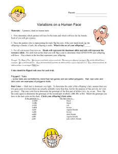 variations on a human face