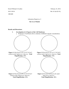 Cell Transport Review Answers