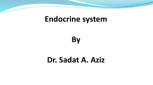 Endocrine system - 2