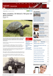 BBC News - Meet Jonathan, St Helena's 182-year-old giant tor