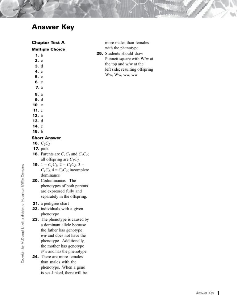 Holt Biology Chapter 7 Test A Answer Key