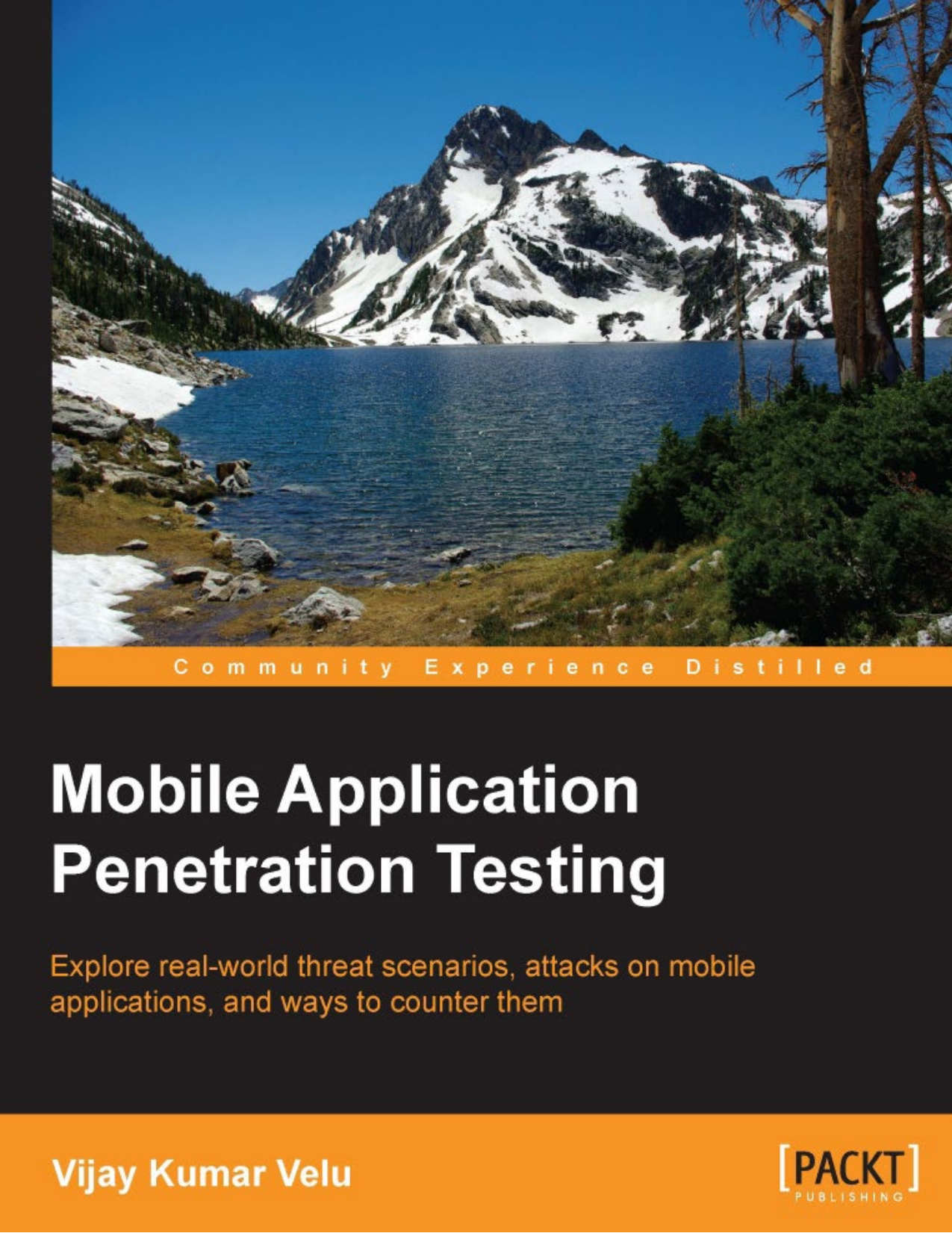 mobile-application-penetration-testing - 