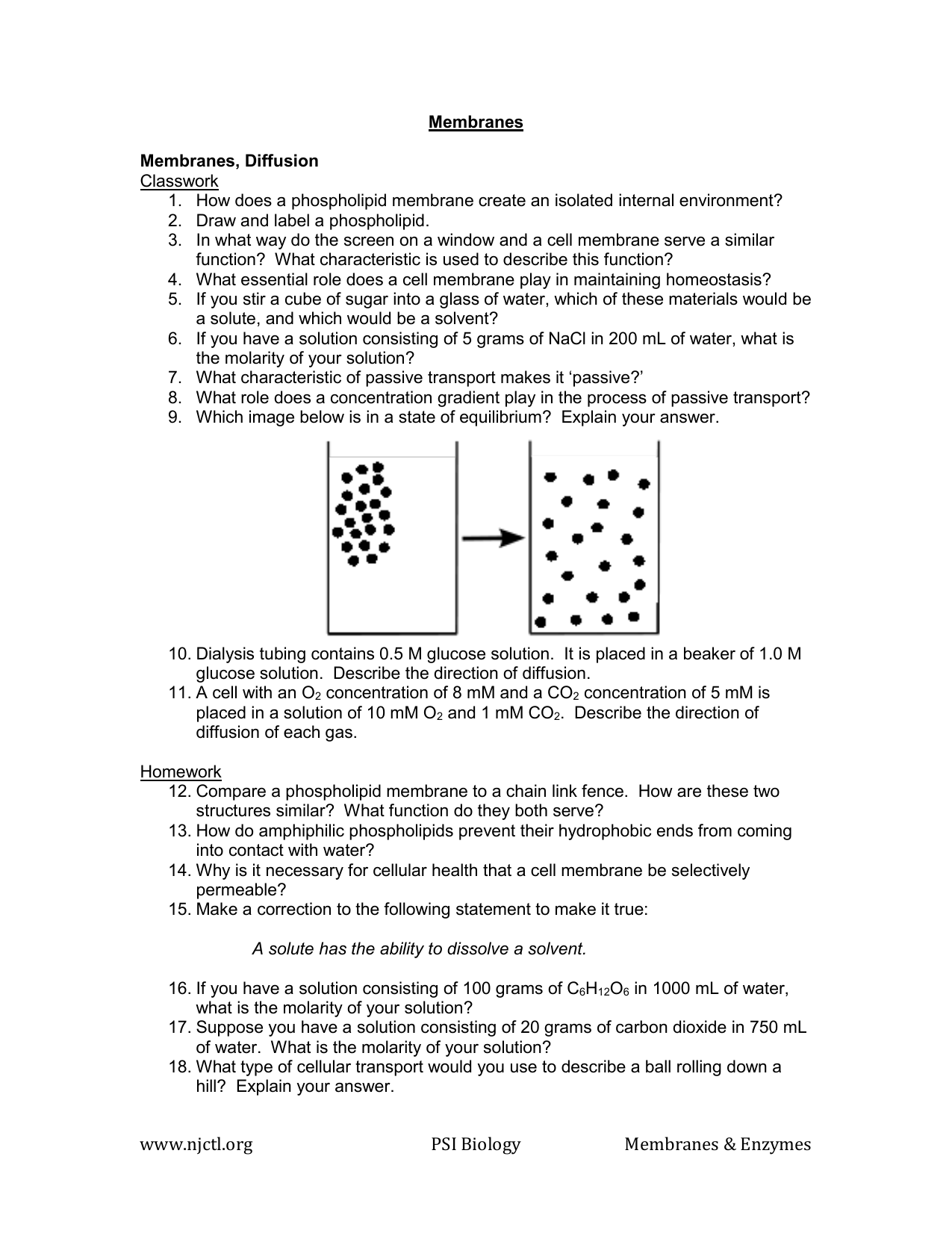 Enzyme Practice Worksheet Answers | TUTORE.ORG - Master of Documents