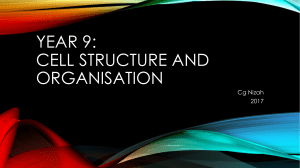 CELL STRUCTURE AND ORGANISATION 