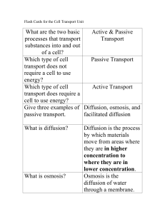 Cell Transport flashcards