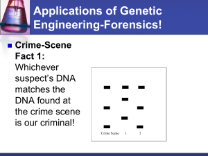 DNA Fingerprinting Practice Powerpoint