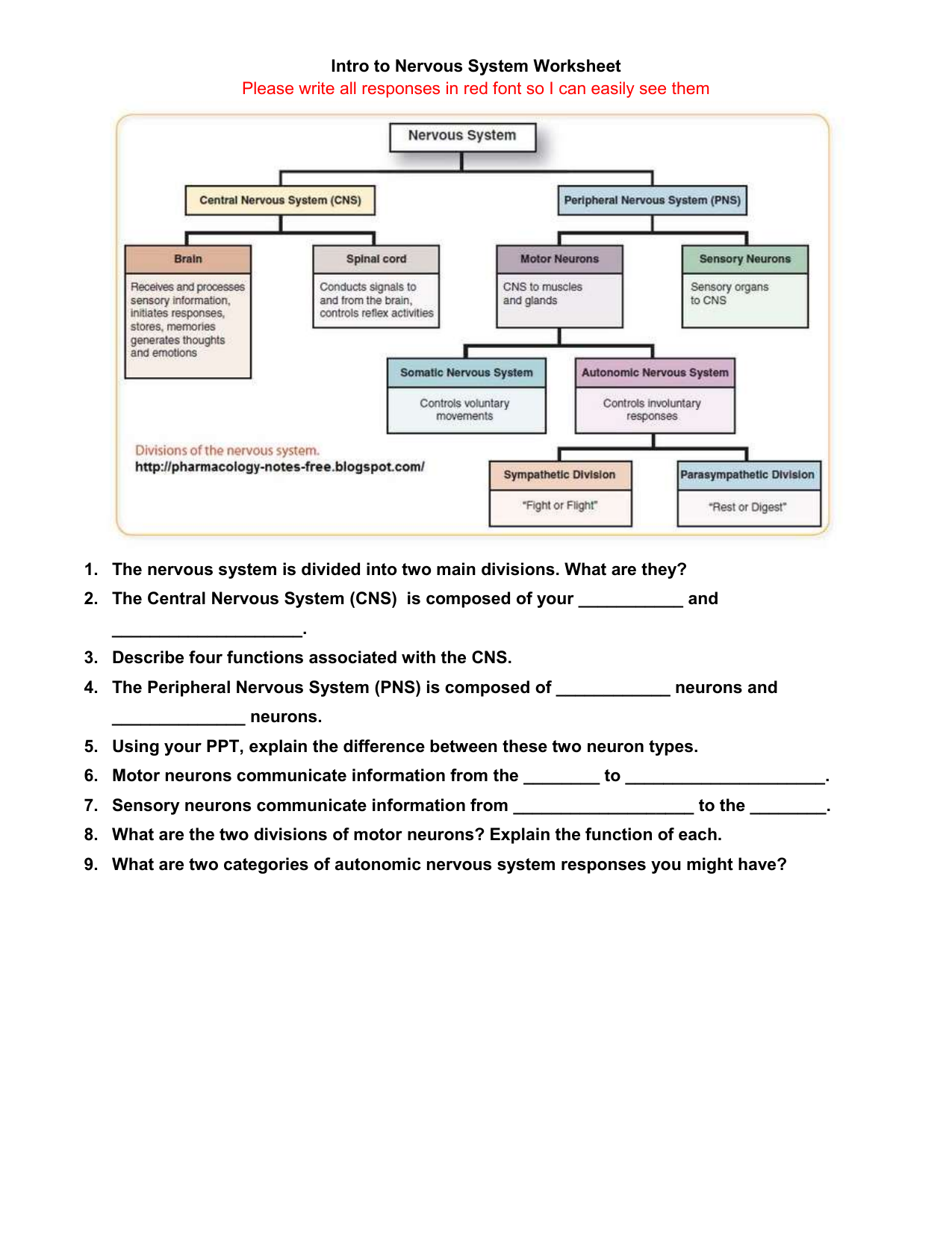Intro To Nervous System Worksheet