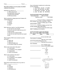 Protein Synthesis Review