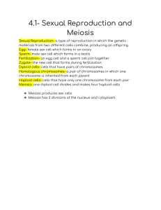 4.1- Sexual Reproduction and Meiosis study guide